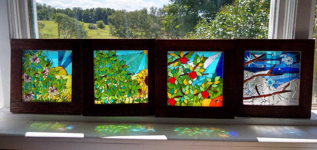 4 Seasons of an Apple Tree